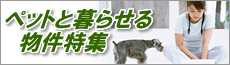 �y�b�g���W