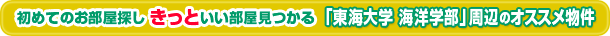 �G�C�u���l�b�g���[�N�É���X ����!!�u���C��w �C�m�w�� �w�������v�L�����y�[�����