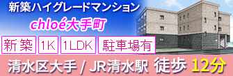 >清水区大手 JR清水駅 徒歩12分 新築マンション 1K/1LDK