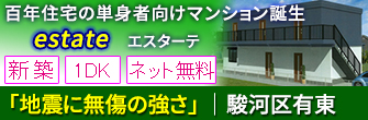 駿河区小黒 単身者向け新築賃貸マンション「エスターテ」1DK