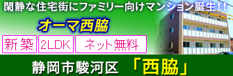 駿河区西脇 新築ファミリーマンション 2LDK