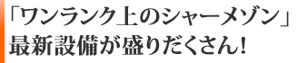 ◆	「ワンランク上の新築シャーメゾン」最新設備が盛りだくさん！