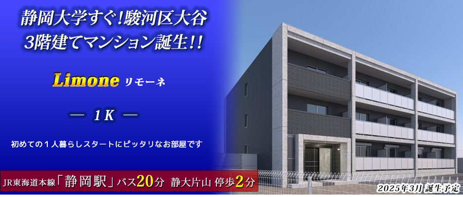 静岡大学すぐ！駿河区大谷、3階建てマンション誕生！！